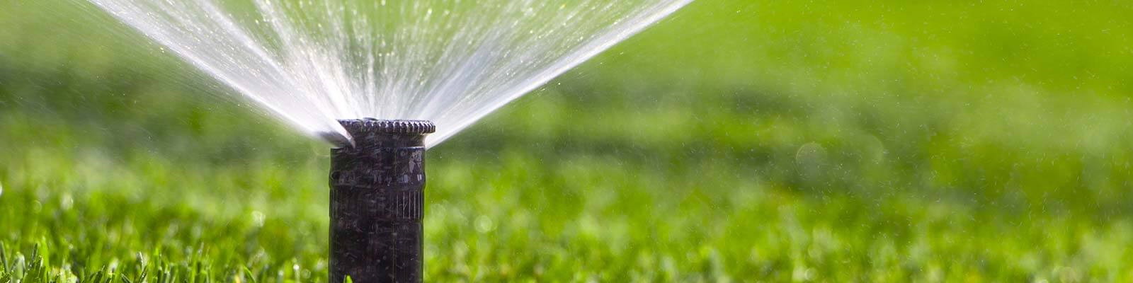 Tuin beregening Hoveniers van Frankenhuyzen